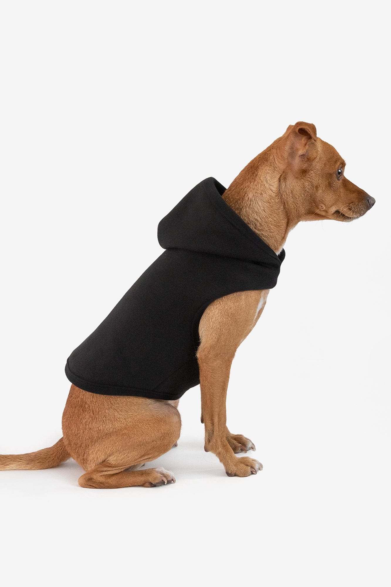 Fleece 2025 dog hoodie